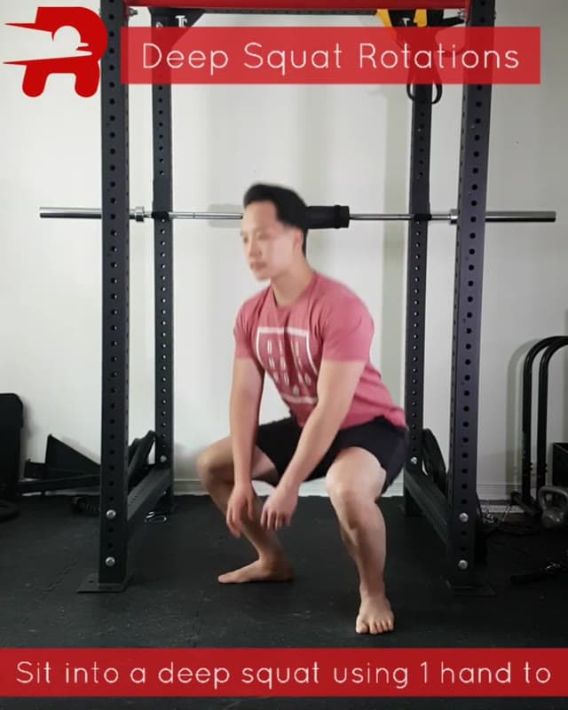 Deep Squat Rotations
