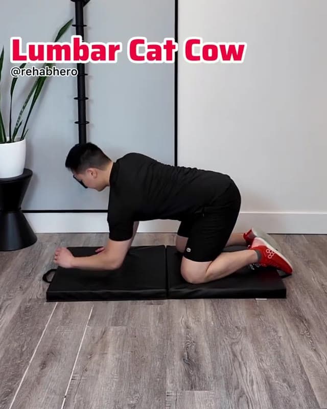 Lumbar Cat Camel