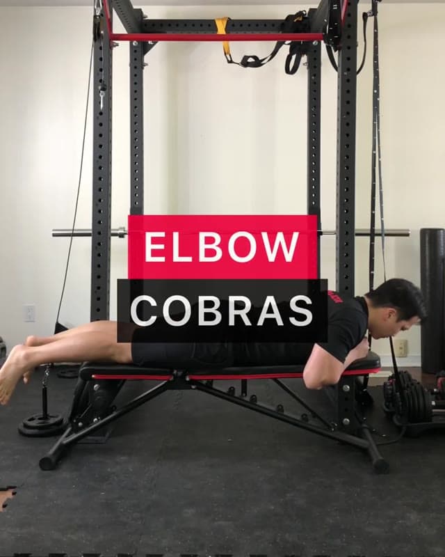 Elbow Cobra - Early stage Lumbar Disc Herniation and Sciatica