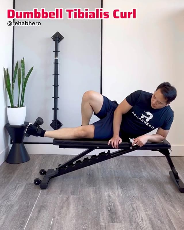 Dumbbell Tibialis Curl