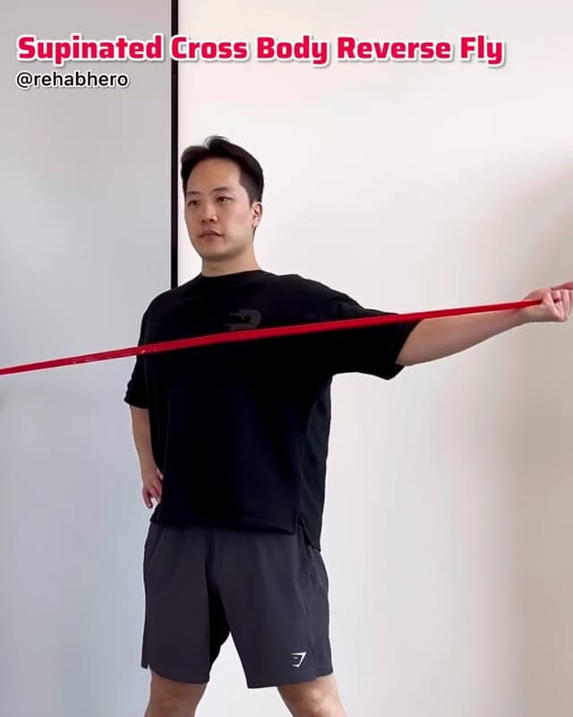Supinated Cross Body Reverse Fly