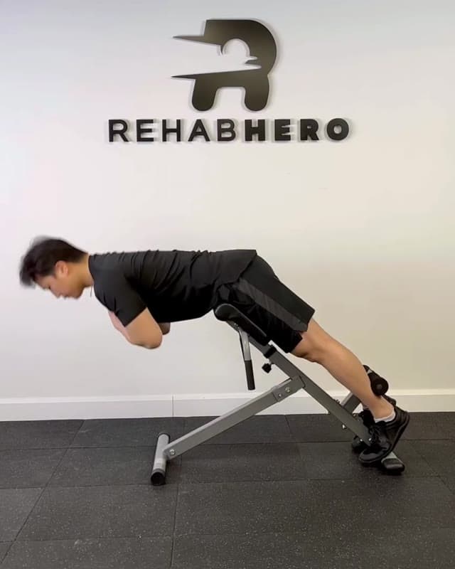 Roman Chair Hyperextension - erector spinae strengthening exercise for the low back