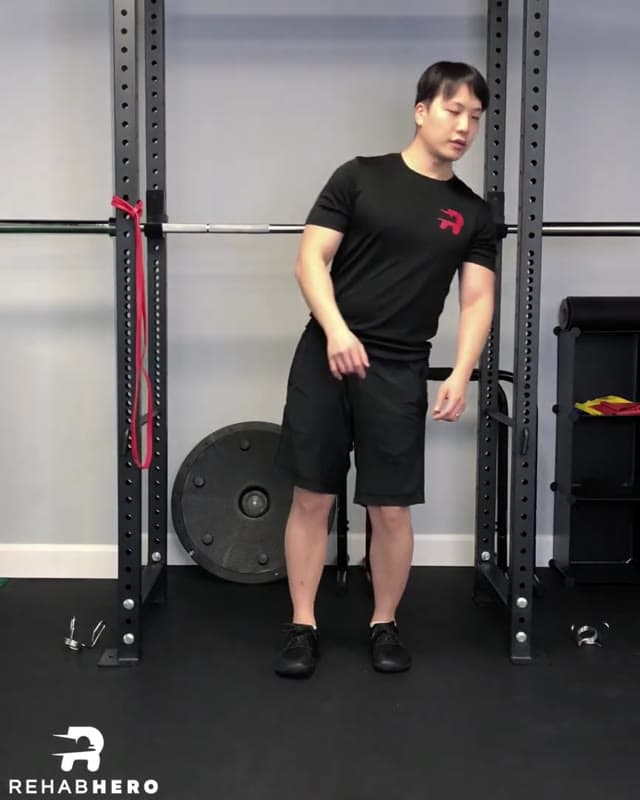 Try This Basic Functional Scoliosis Corrective Exercise Wall Lean Plank