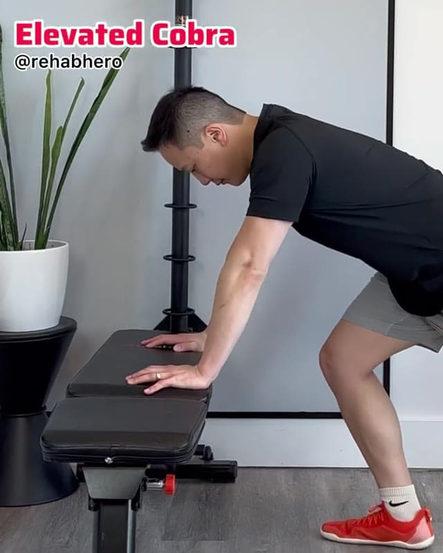 Elevated Cobra