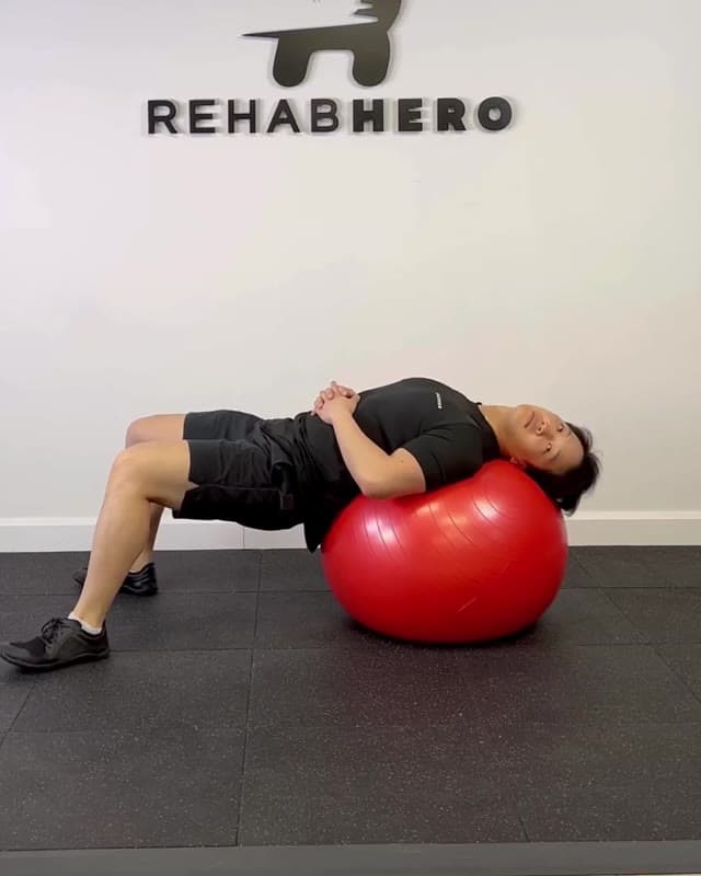Swiss Ball SCM Stretch